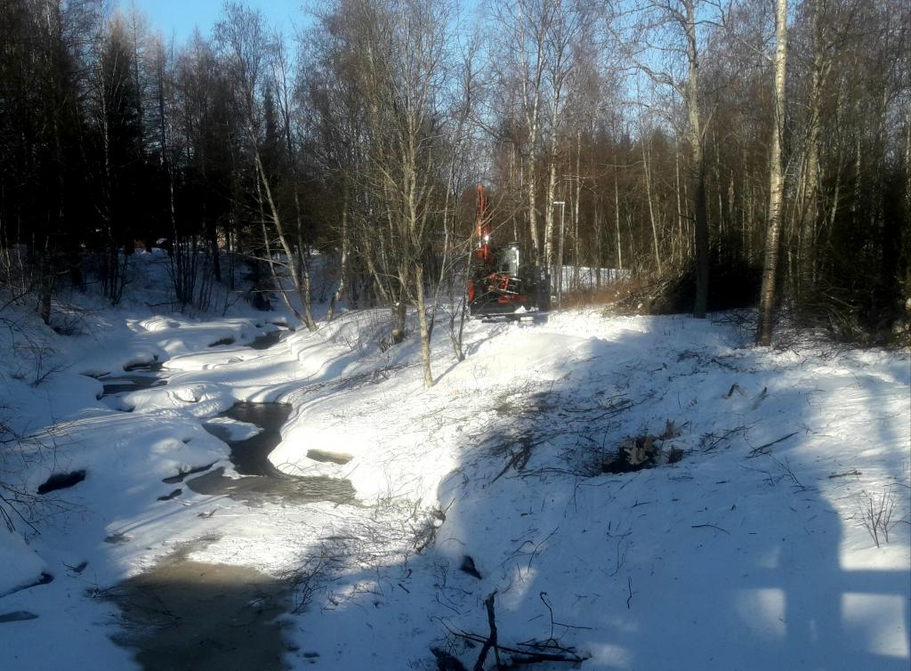Pattijoen rantojen raivaus on alkanut. Kuva Tita Haapajoki Pattijoen rantaa.