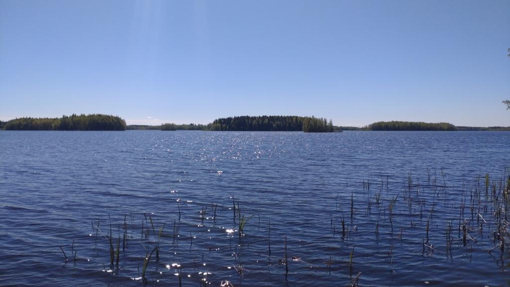 Haapajärven tekoallas, kuvannut Aino Alatalo