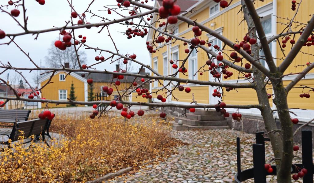 Raahe marraskuussa.