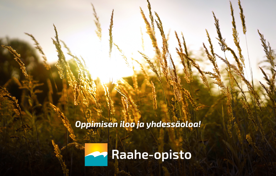 Oppimisen iloa ja yhdessäoloa. Kuvapankkikuva, Jaana Hämäläinen. Syksyinen kuva. Ilta-aurinkoa ja heiniä. Kuvassa lukee Oppimisen iloa ja yhdessäoloa .