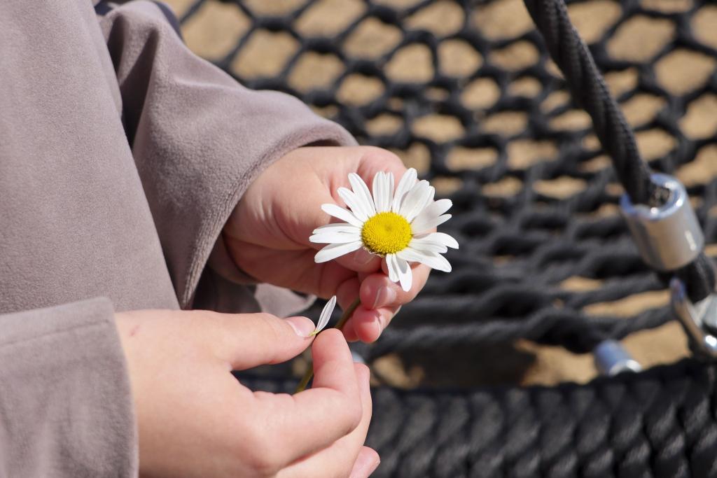Kuvassa lapsi pitämässä kukkaa.