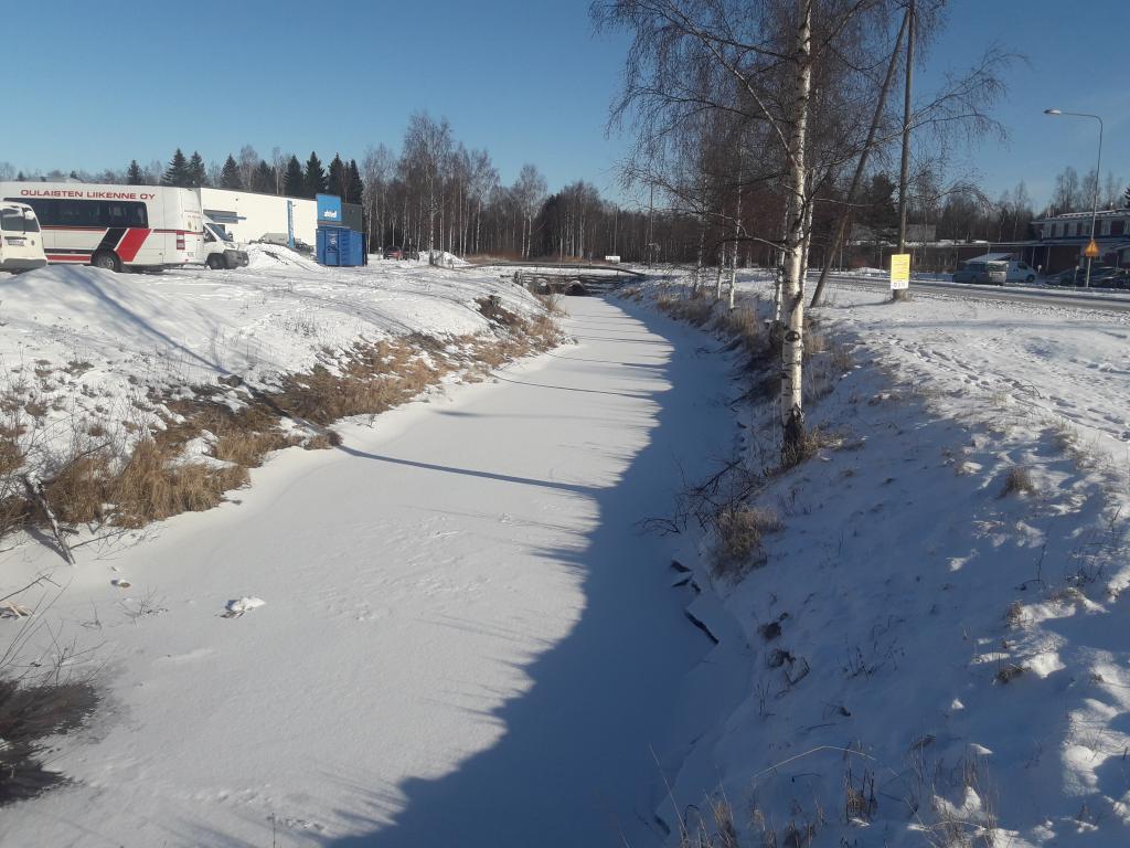 kuva ruonanojasta Halpa-Hallin parkkipaikan edustalla.