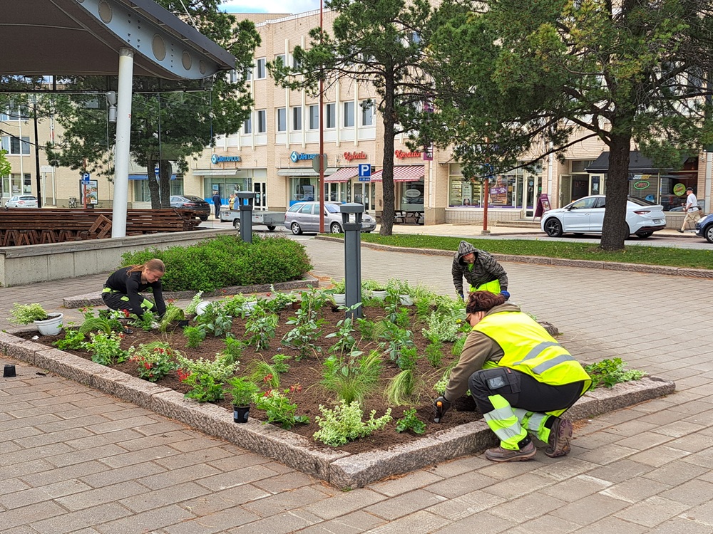 Kukkien istutusta puistoissa.
