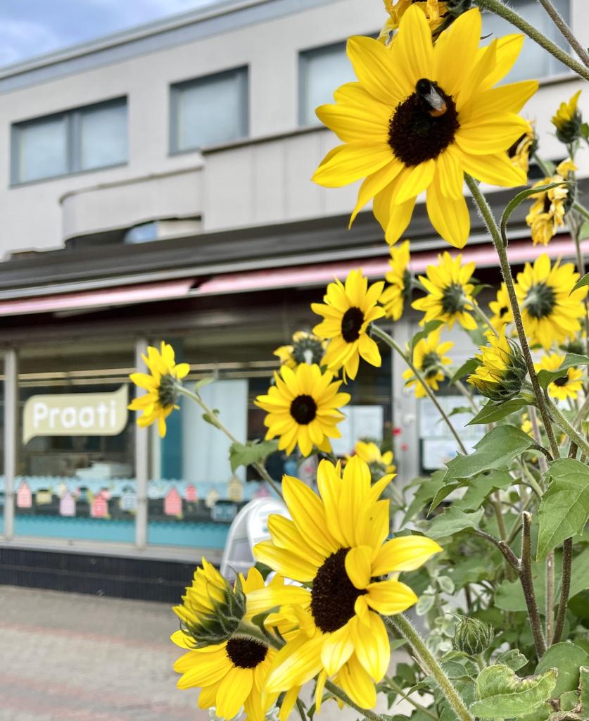 Kuva: Tarmo Somero. Praati kuvattuna Laivurinkadulta kukkaloiston lomasta.