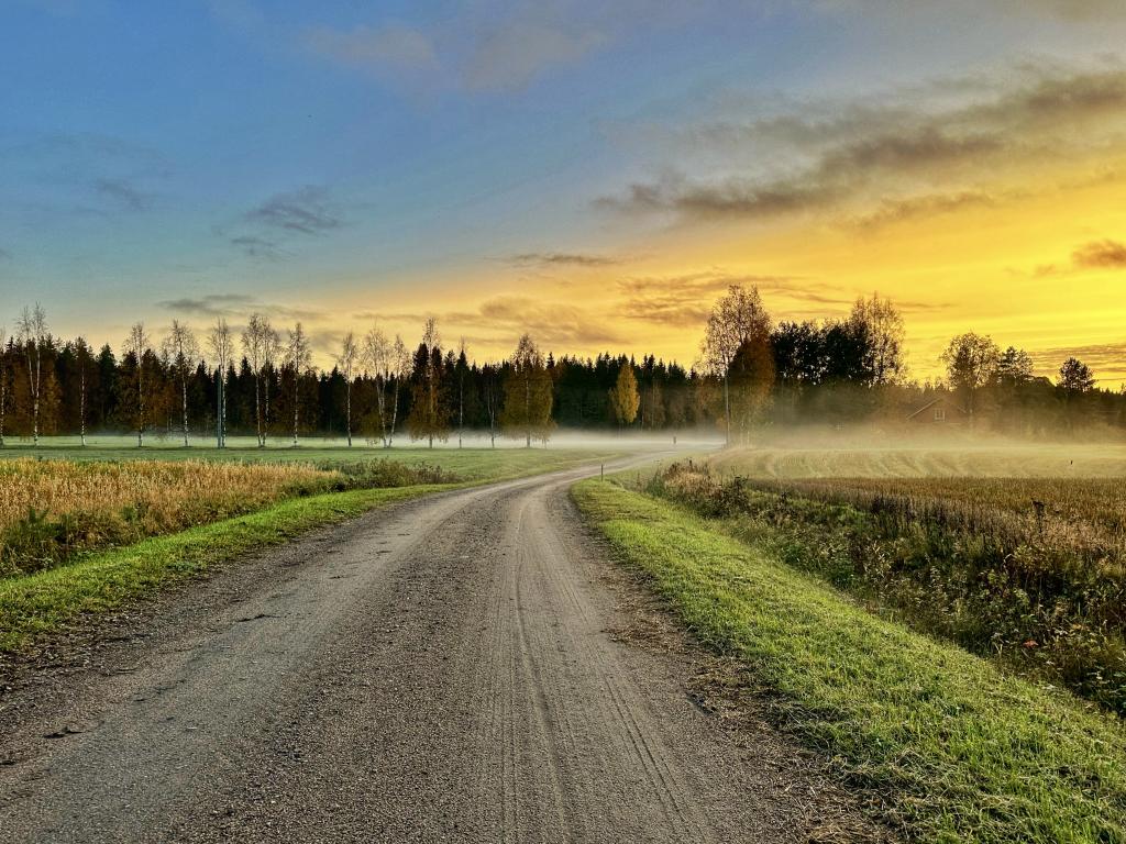 Kuva: Tarmo Somero. Usvaa peltoaukealla auringonlaskun aikaan syksyisellä Raahen maaseudulla.