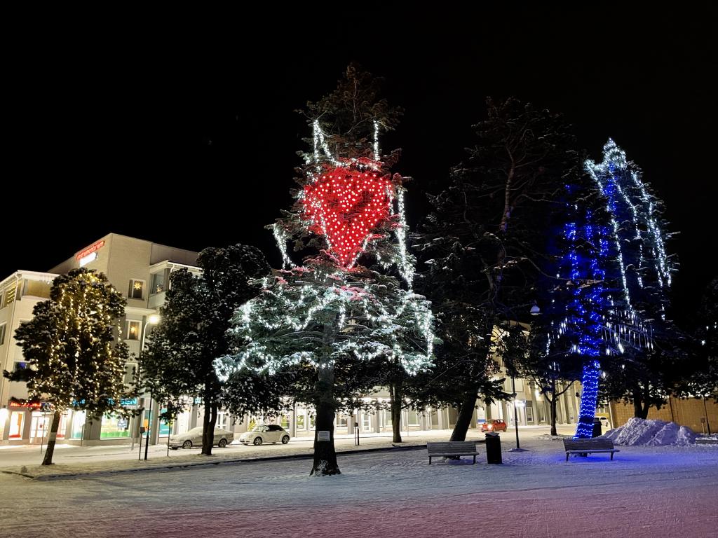 Härkätorin talvea marraskuussa 2021. Kuva: Tarmo Somero. Kausivaloja Härkätorin männyissä.