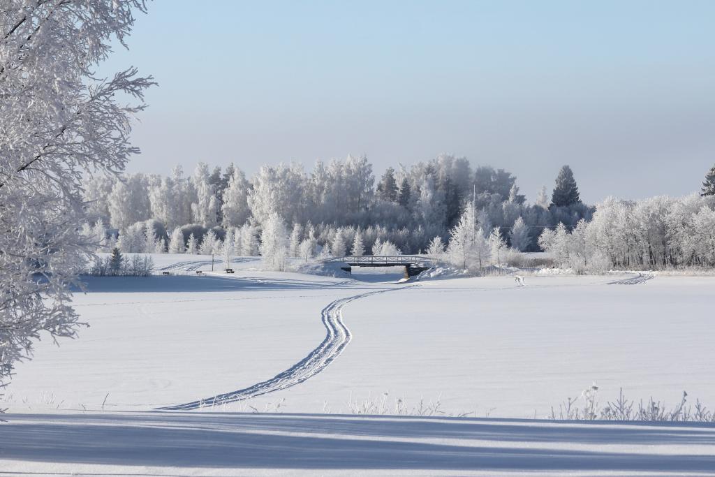 Kuvassa talvinen rantamaisema