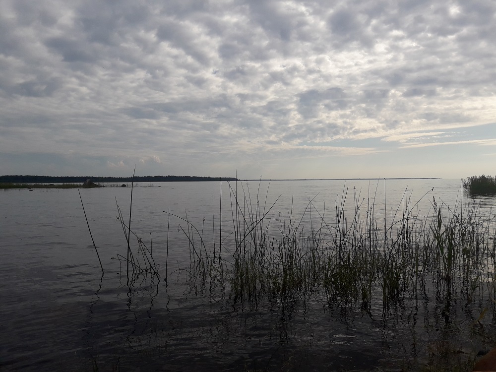 Uimaveden laatu vaihtelee, mutta sitä tarkkaillaan. Meren rantaa.