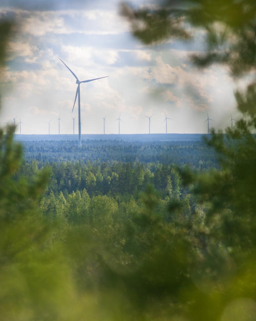 Tuulipuisto Raahessa. Kuva: Jari Kettukangas. Tuulivoimapuistoa metsäisellä alueella.