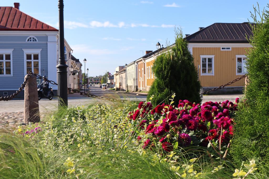 Vanhoja puutaloja kesäisen Pekkatorin laidalla.