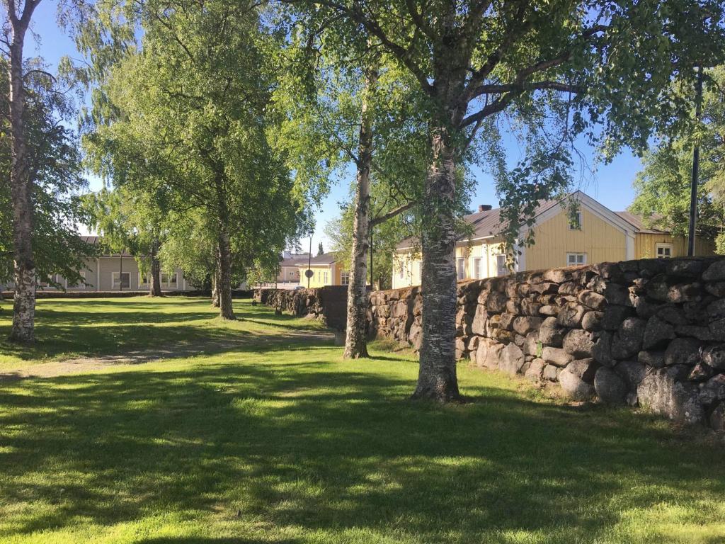 Kuva: Raahen kaupunki / Sari Niskala. Näkymä kesäisestä vanhasta kaupungista. Etualalla kiviaita ja koivuja.