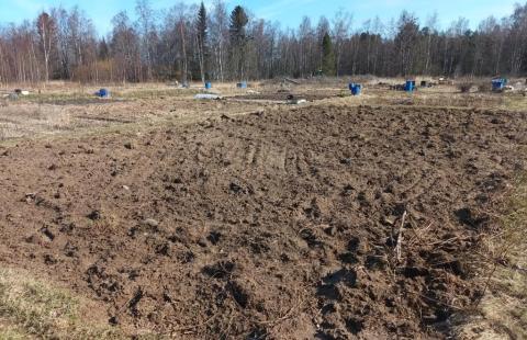 Viljelypalsta Ollinsaaressa.