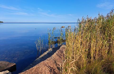 Kuva meren rannasta.