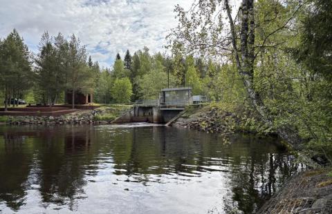 Piehinginjoen pato alajuoksulta päin kuvattuna.