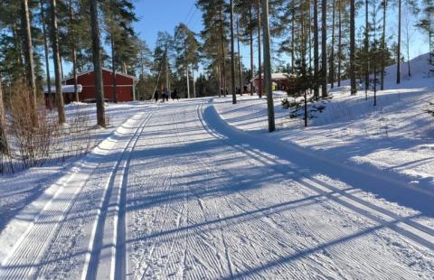 Aurinkoinen hiihtolatu