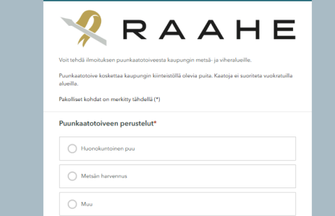 Kuva sähköisestä lomakkeesta
