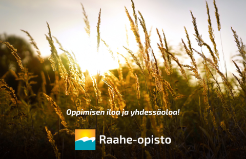 Syksyinen kuva. Ilta-aurinkoa ja heiniä. Kuvassa lukee Oppimisen iloa ja yhdessäoloa .