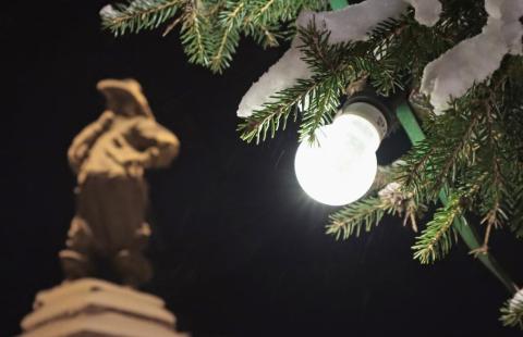 Pekkapatsas, kuusenhavuja ja energiansäästölamppu.