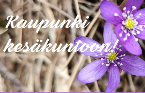 Kaupunki kesäkuntoon -tapahtuman mainos.
