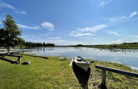 Järvimaisema Vihannin läntisrannalla.