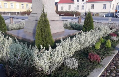 Pekkatorille laitetettu talvisomistus piristää kaamosta. Kuva Tita Haapajoki. Pekkatorin talviasetelmat. Kuva Tita Haapajoki.