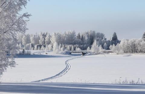 Kuvassa talvinen rantamaisema