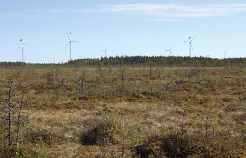 Näkymä Lukkaroisentieltä kohti Kopsan hankealuetta. Maisemakuvaan on upotettu metsärajan yläpuolelle näkyviä tuulivoimaloita, joiden sijoittamista suunnitellaan Kopsaan.
