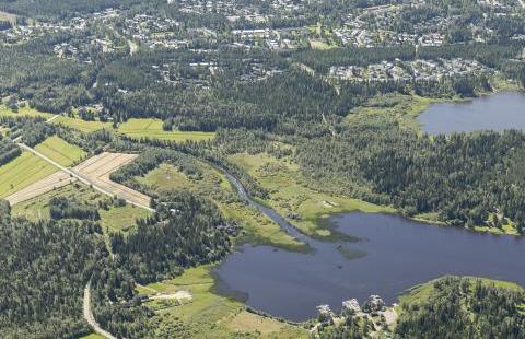 Viistokuva Ruottalonlahden alueesta. Kuva: Viistokuva Vallas 2016. Kuvassa on näkymä yläviistosta pohjoisesta Ruottalonlahden alueelle. Kuva: Viistokuva Vallas 2016.