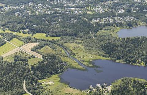 Kuvassa on näkymä yläviistosta pohjoisesta Ruottalonlahden alueelle. Kuva: Viistokuva Vallas 2016.