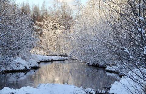 Talvinen jokimaisema.