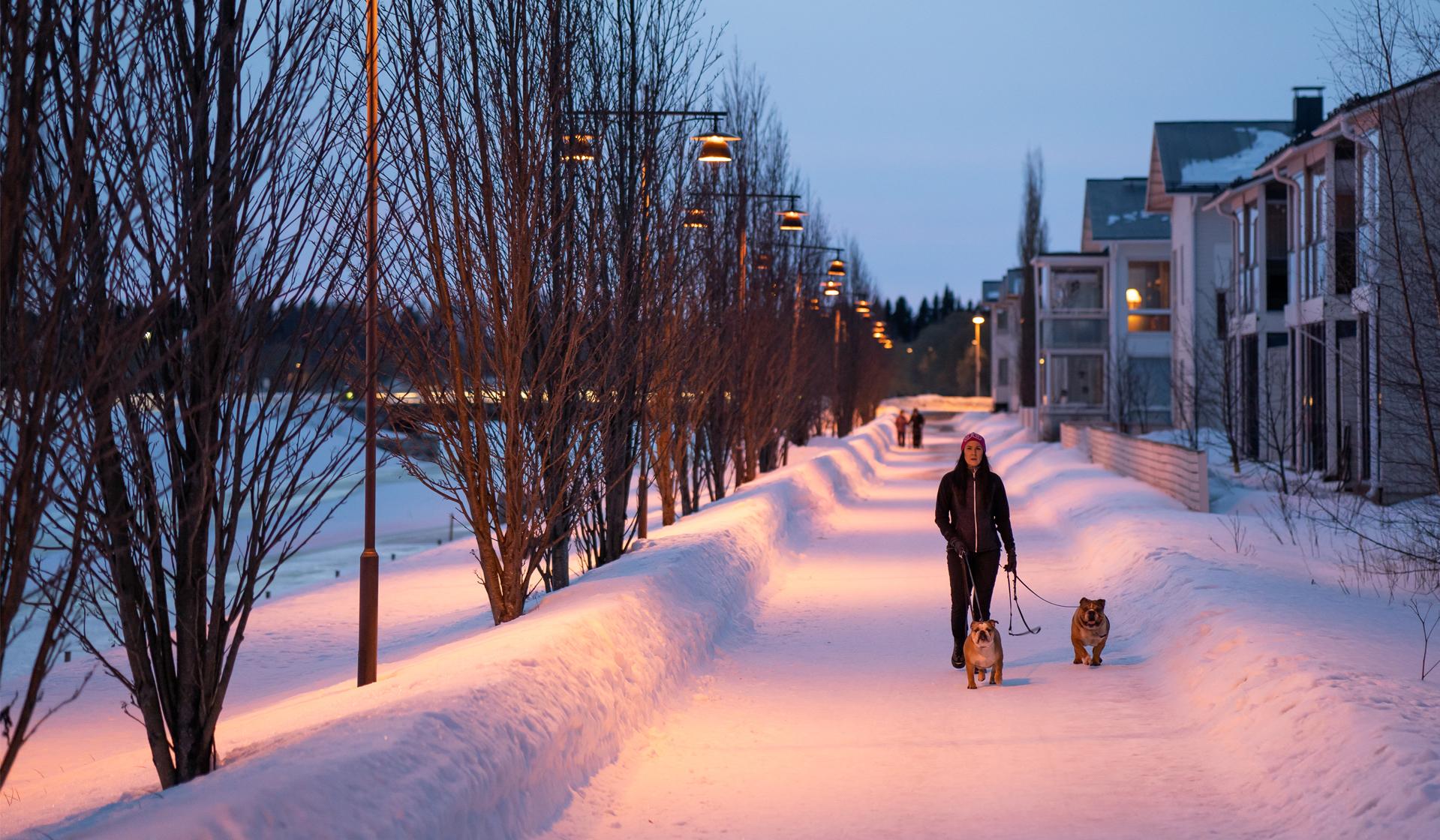 Nainen ulkoiluttaa kahta koiraa talvisessa maisemassa auringonlaskun aikaan.