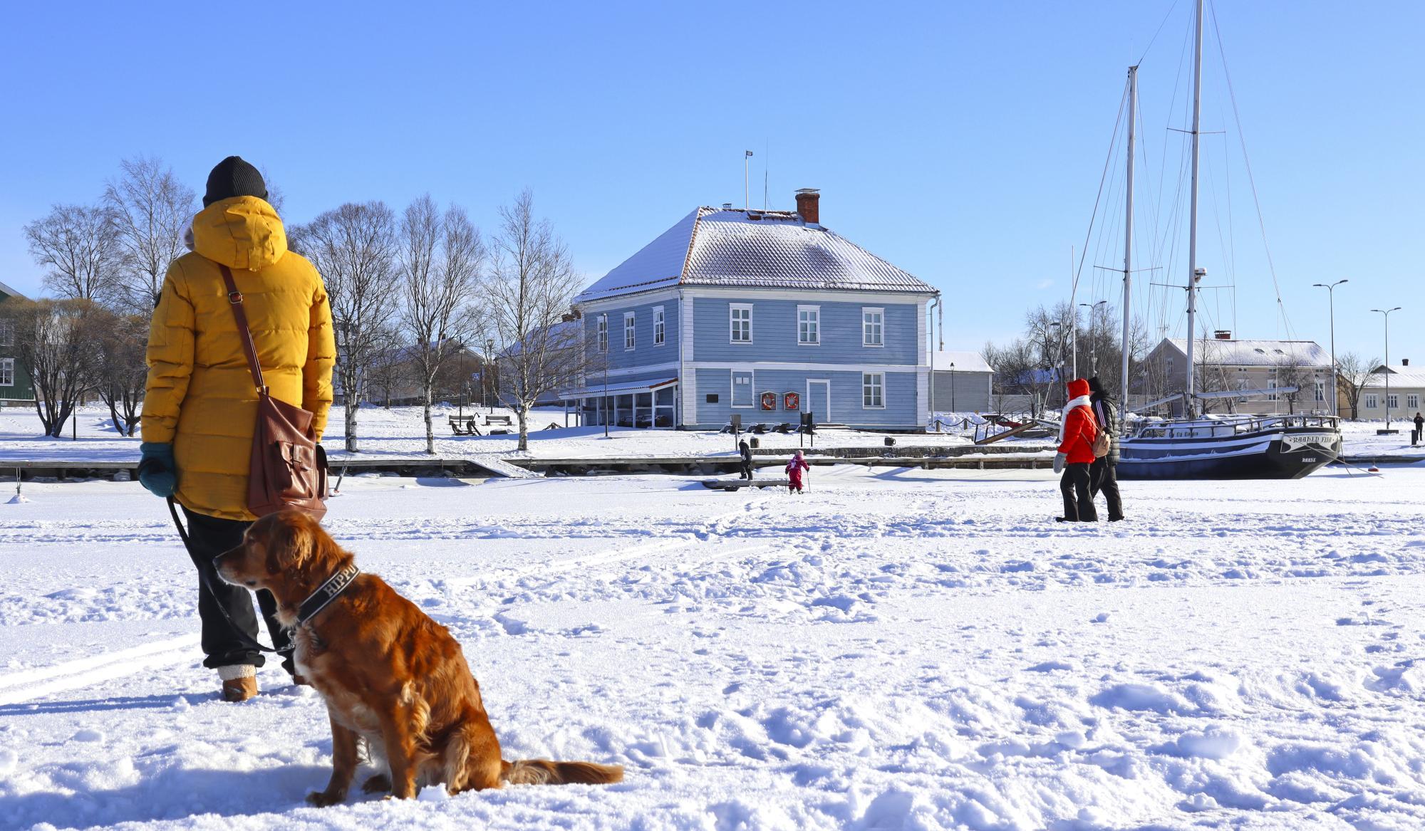 Människor, en hund och ett skepp i ett snöigt landskap. Träd och gamla byggnader i bakgrunden.