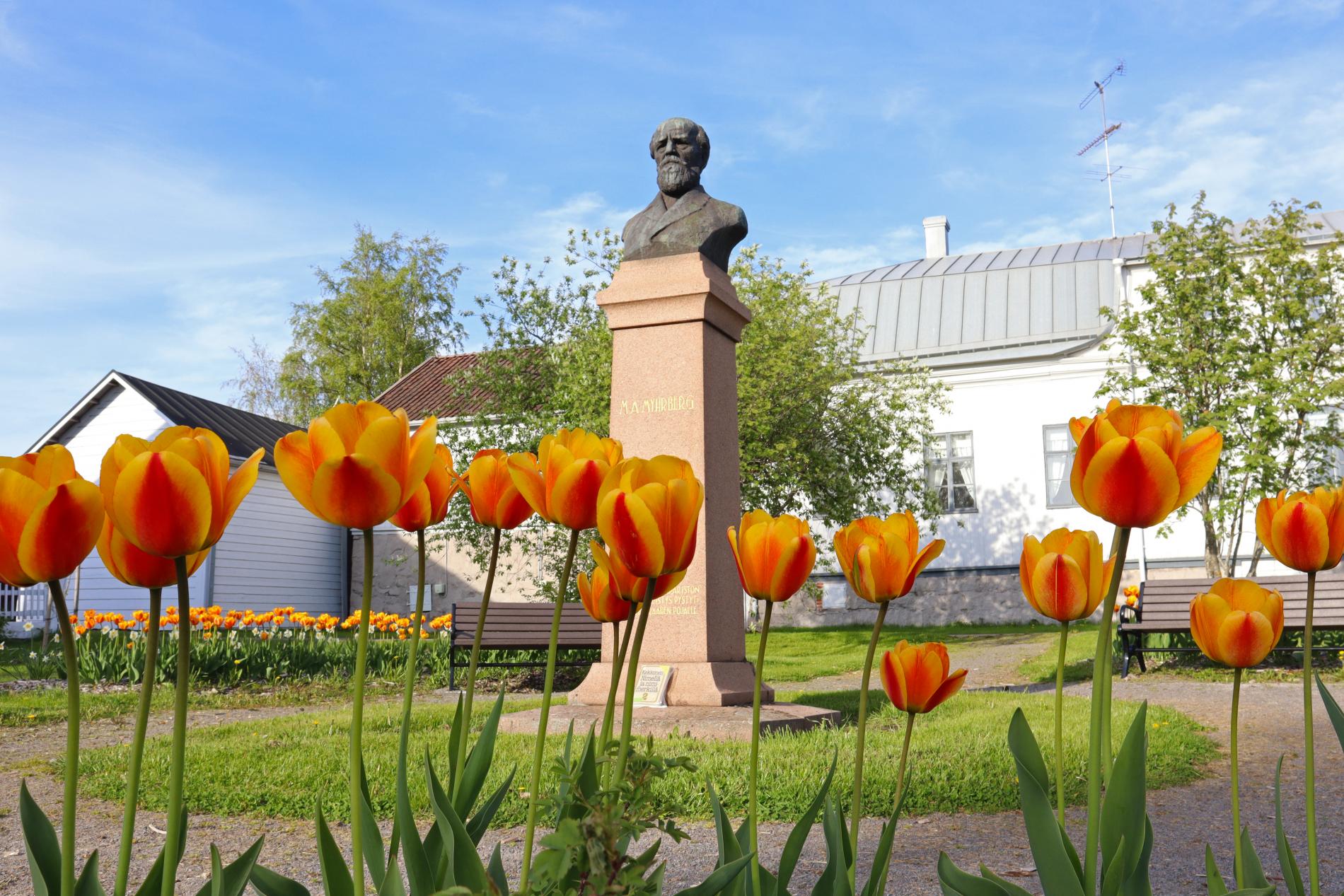 Myhrberg Park in the summer.