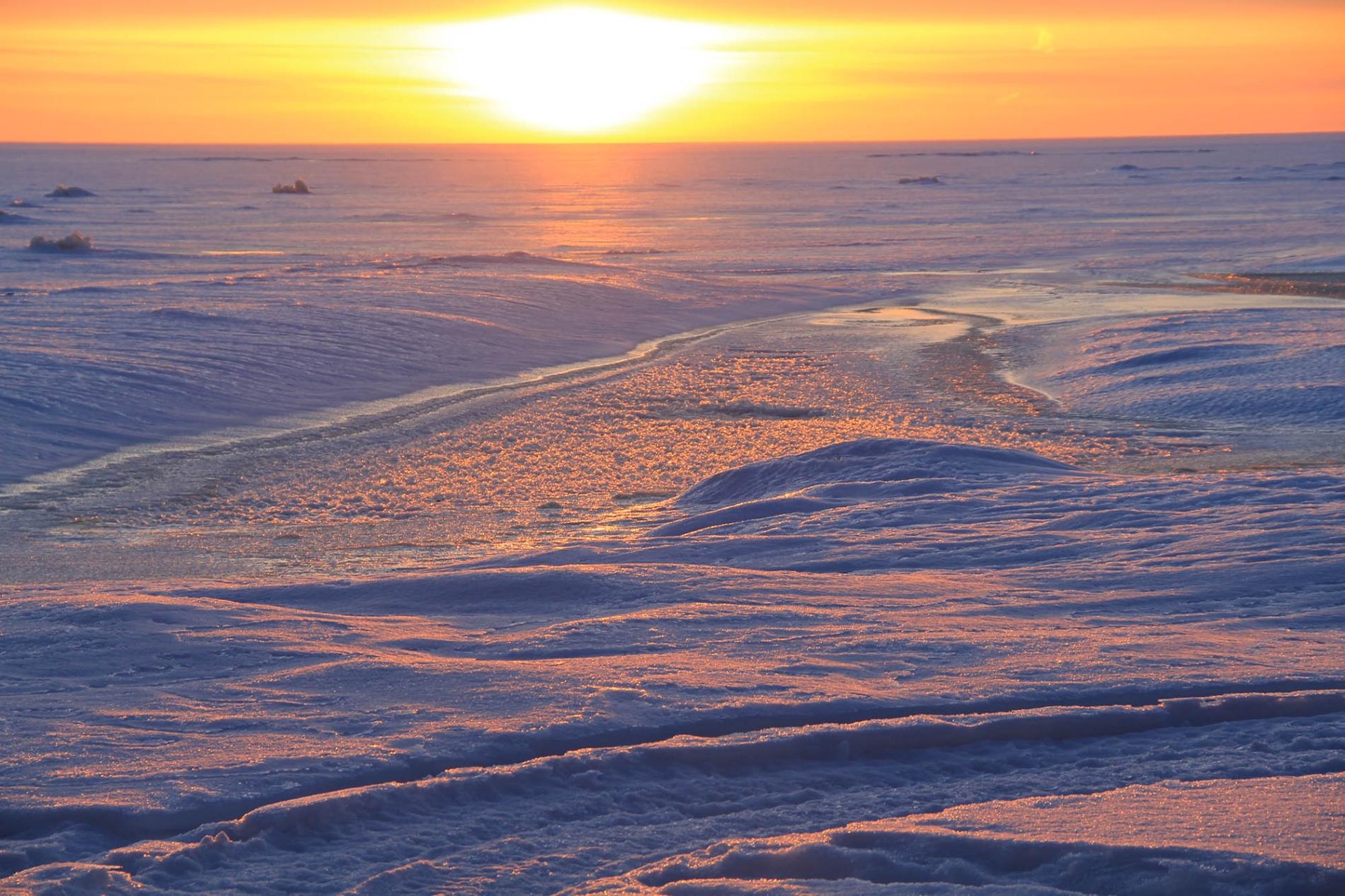 Lumipeitteinen merenranta talvisessa auringonpaisteessa.