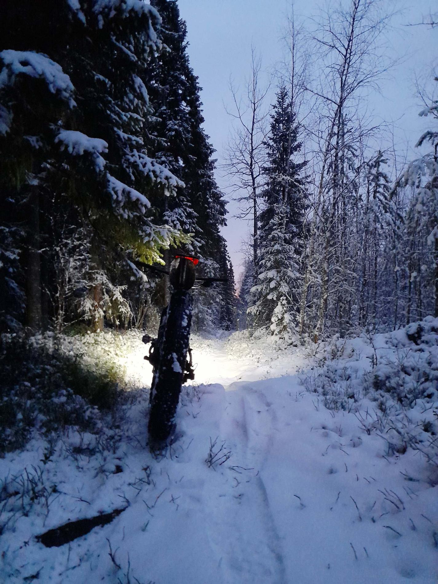 Fatbike talvisella metsäpolulla ajovalo päällä.