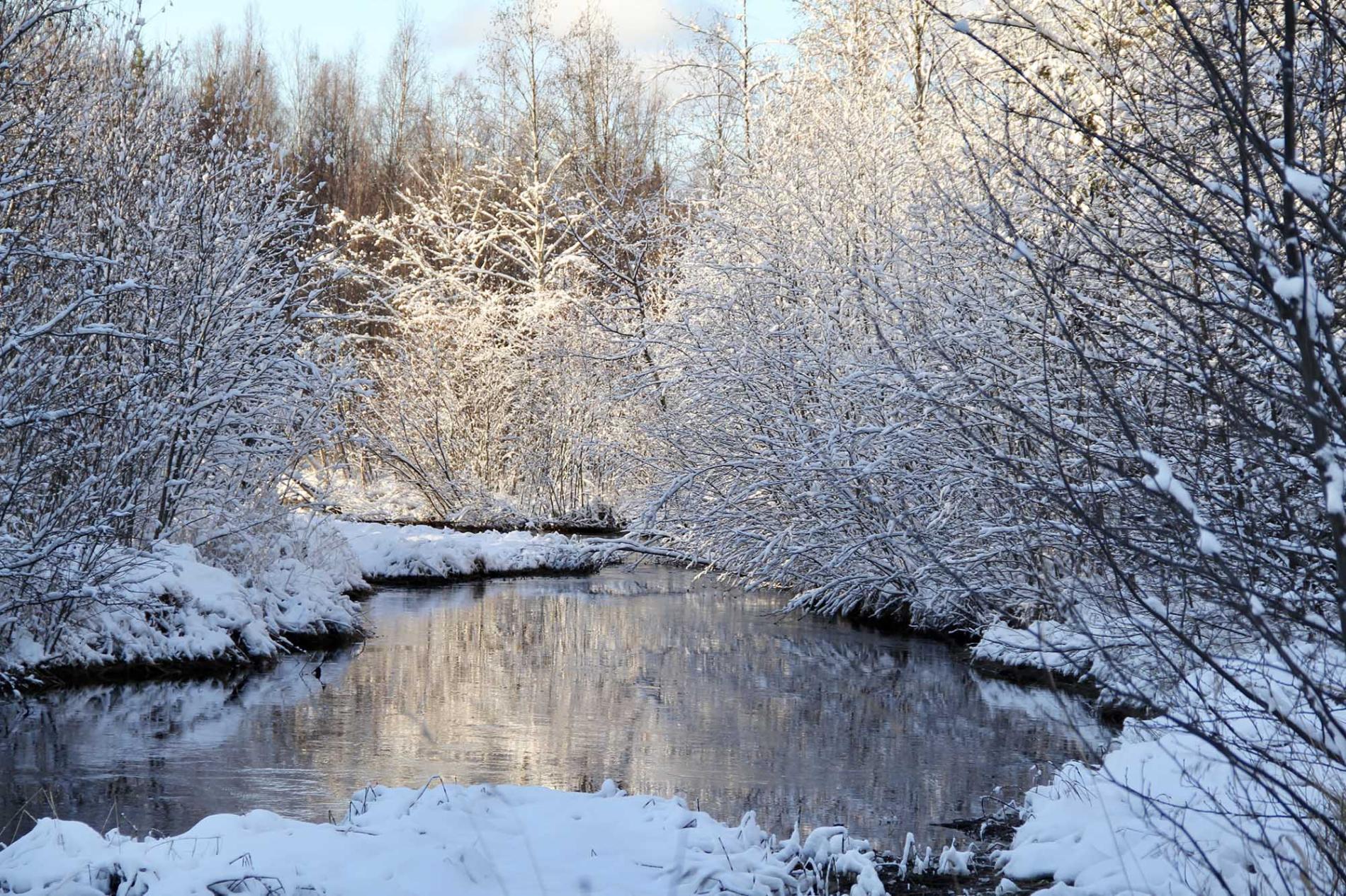 Talvinen jokimaisema.