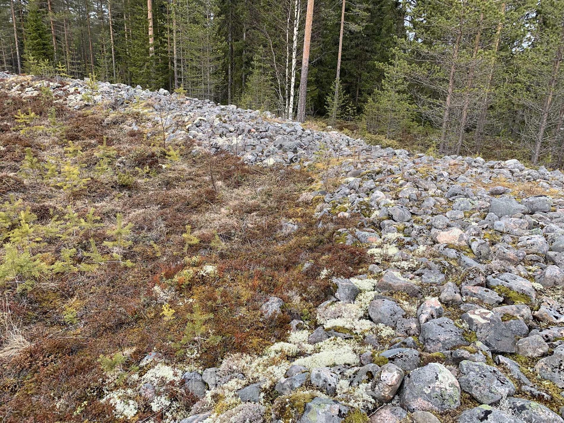 Kastellin jätinkirkon kivistä kehävallia.