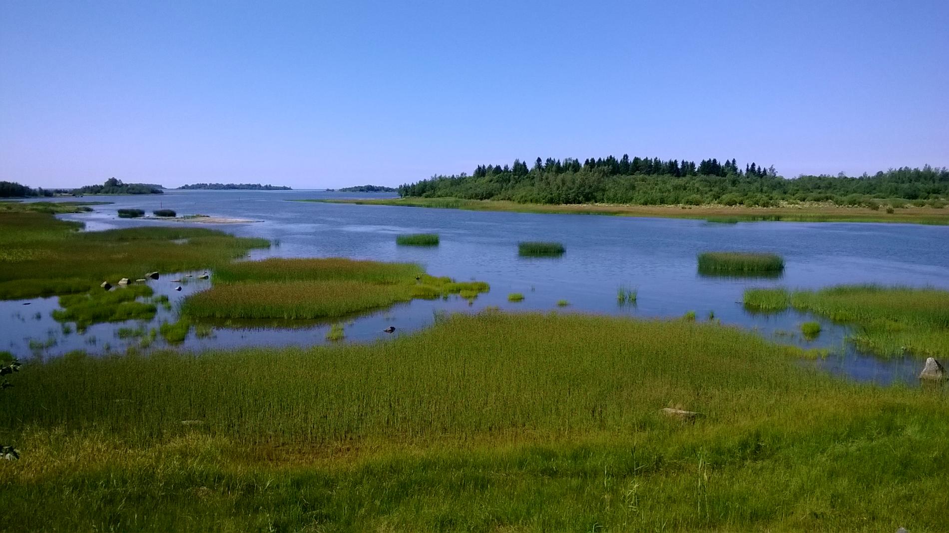 Heinälauttoja. Kuva:Raahen kaupunki.